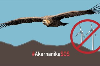 akarnanika sos